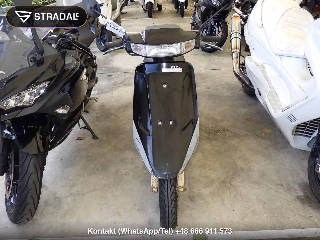 HONDA DIO-1, miniaturka 6