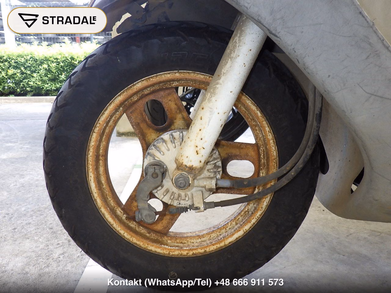 HONDA DIO-1, miniaturka 8
