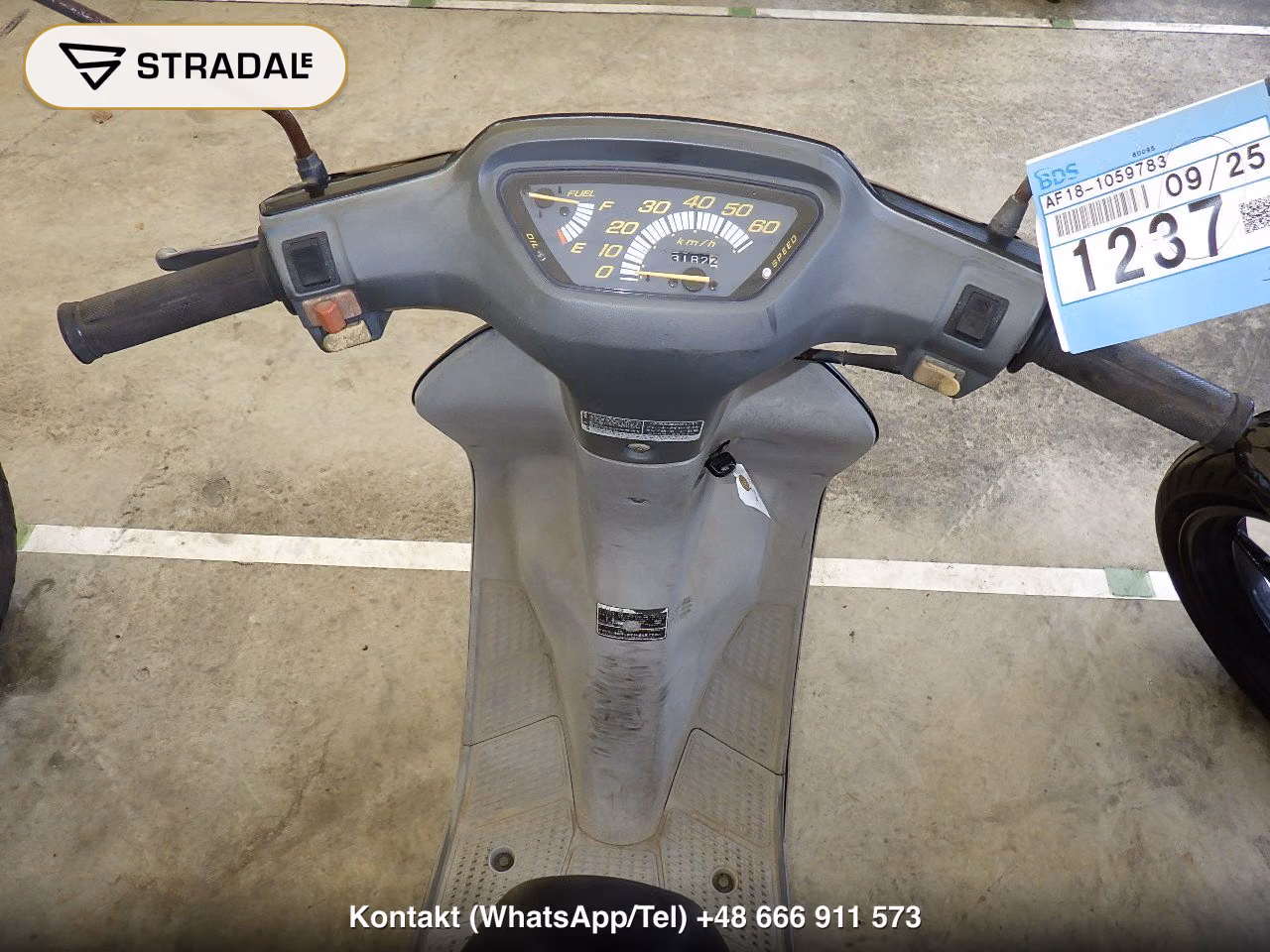 HONDA DIO-1, miniaturka 9
