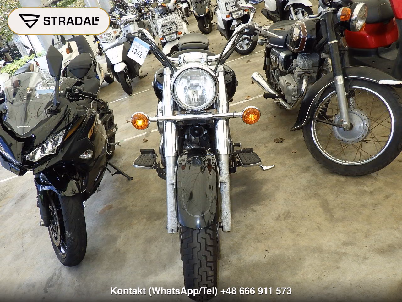 YAMAHA ﾄﾞﾗｯｸﾞｽﾀｰ1100ｸﾗｼｯｸ, miniaturka 6