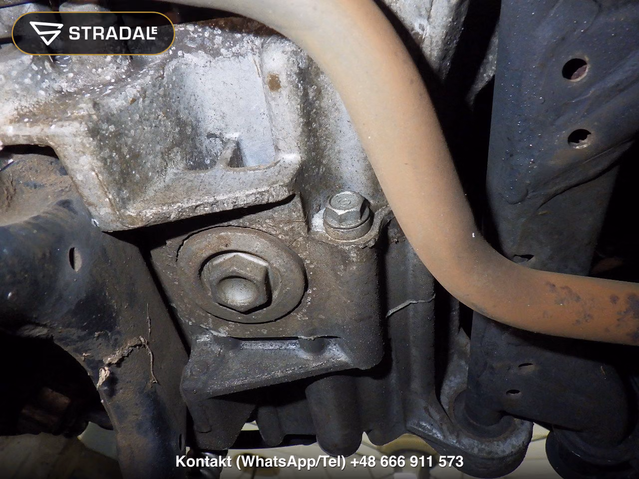 HONDA ﾀｸﾄ-4ﾍﾞｰｼｯｸ, miniaturka 3