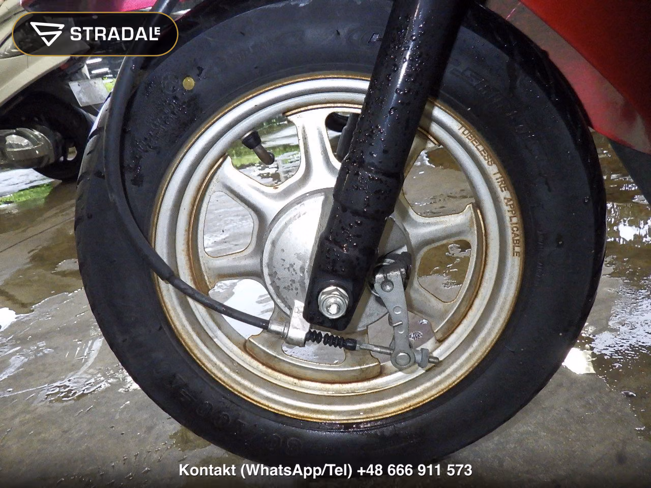 HONDA ﾀｸﾄ-4ﾍﾞｰｼｯｸ, miniaturka 7