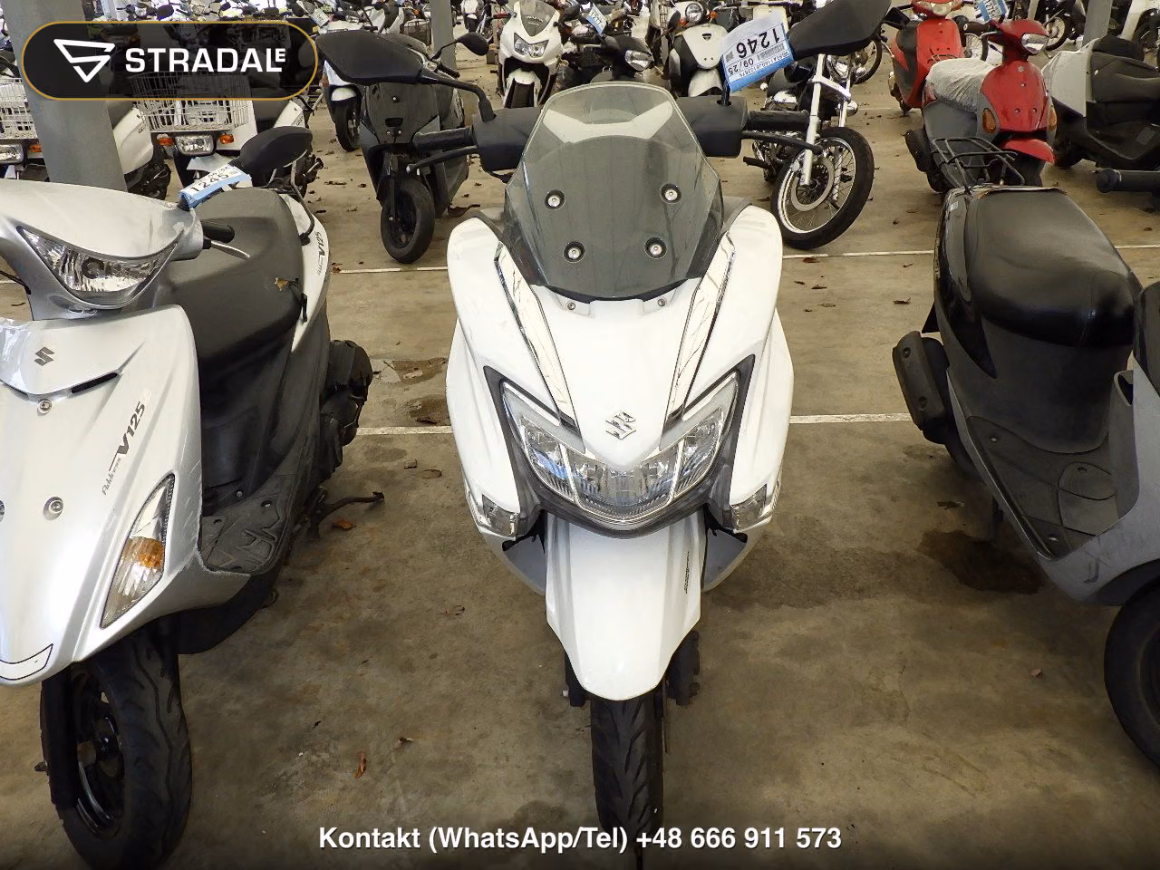 SUZUKI ﾊﾞｰｸﾞﾏﾝ125, miniaturka 6