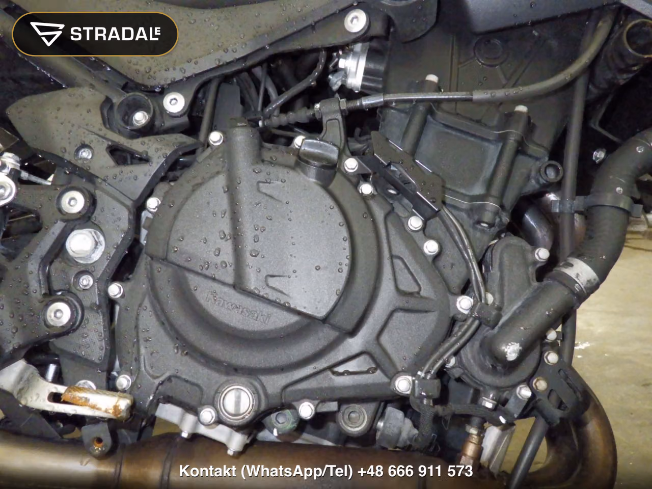 KAWASAKI Z250-2, miniaturka 2