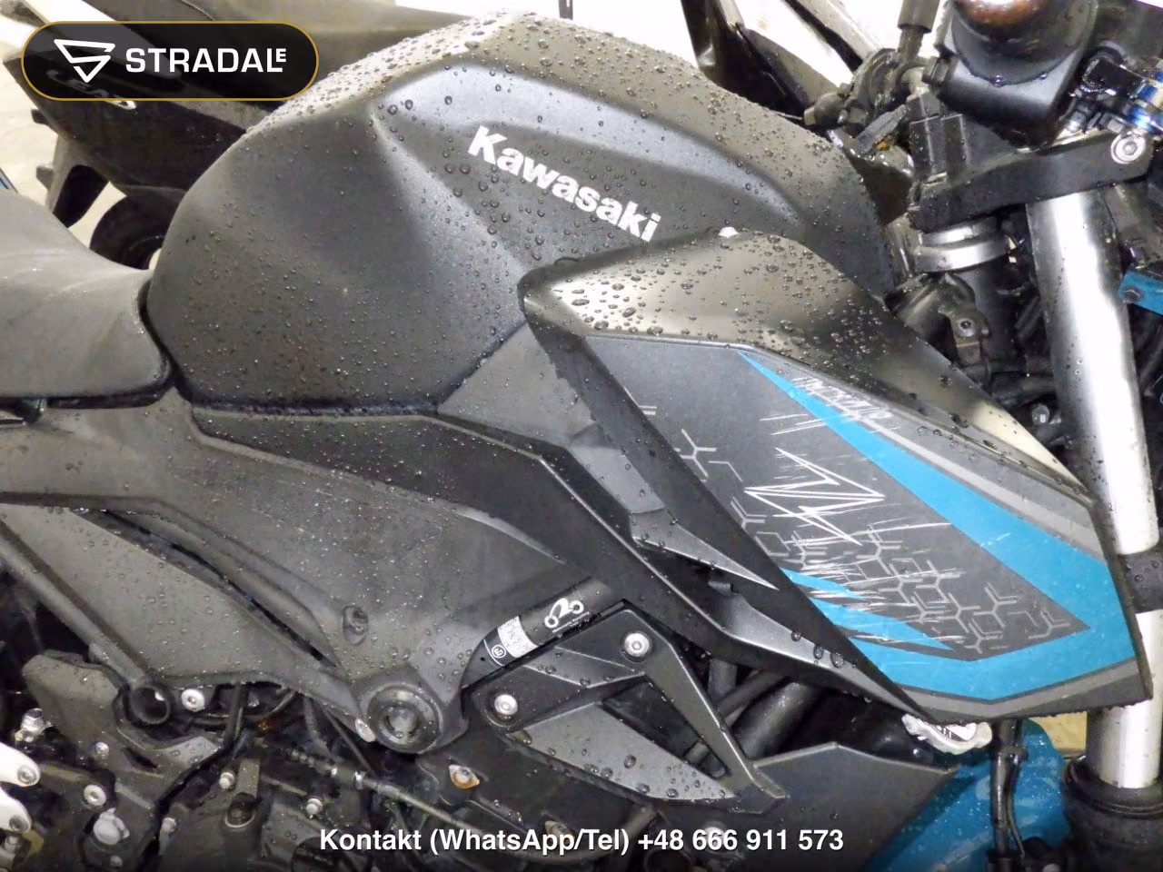 KAWASAKI Z250-2, miniaturka 12