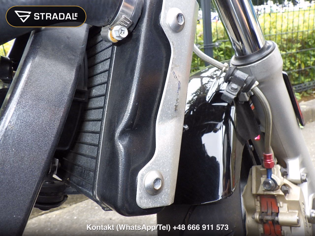 HONDA HORNET250, miniaturka 3