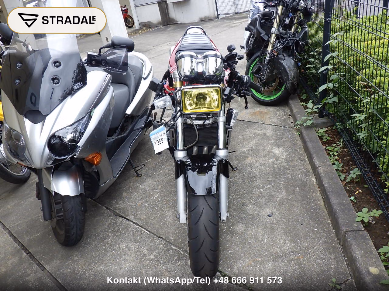 HONDA HORNET250, miniaturka 6