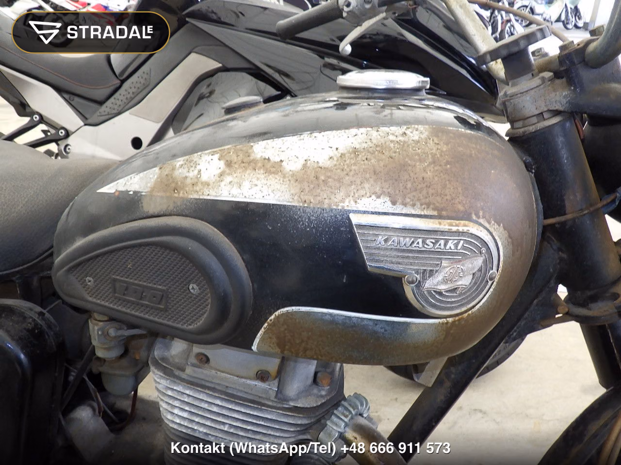 KAWASAKI ﾒｸﾞﾛ250SG, miniaturka 11