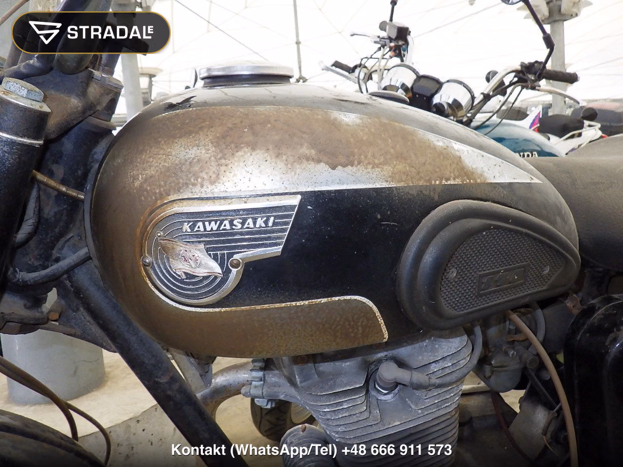 KAWASAKI ﾒｸﾞﾛ250SG, miniaturka 10