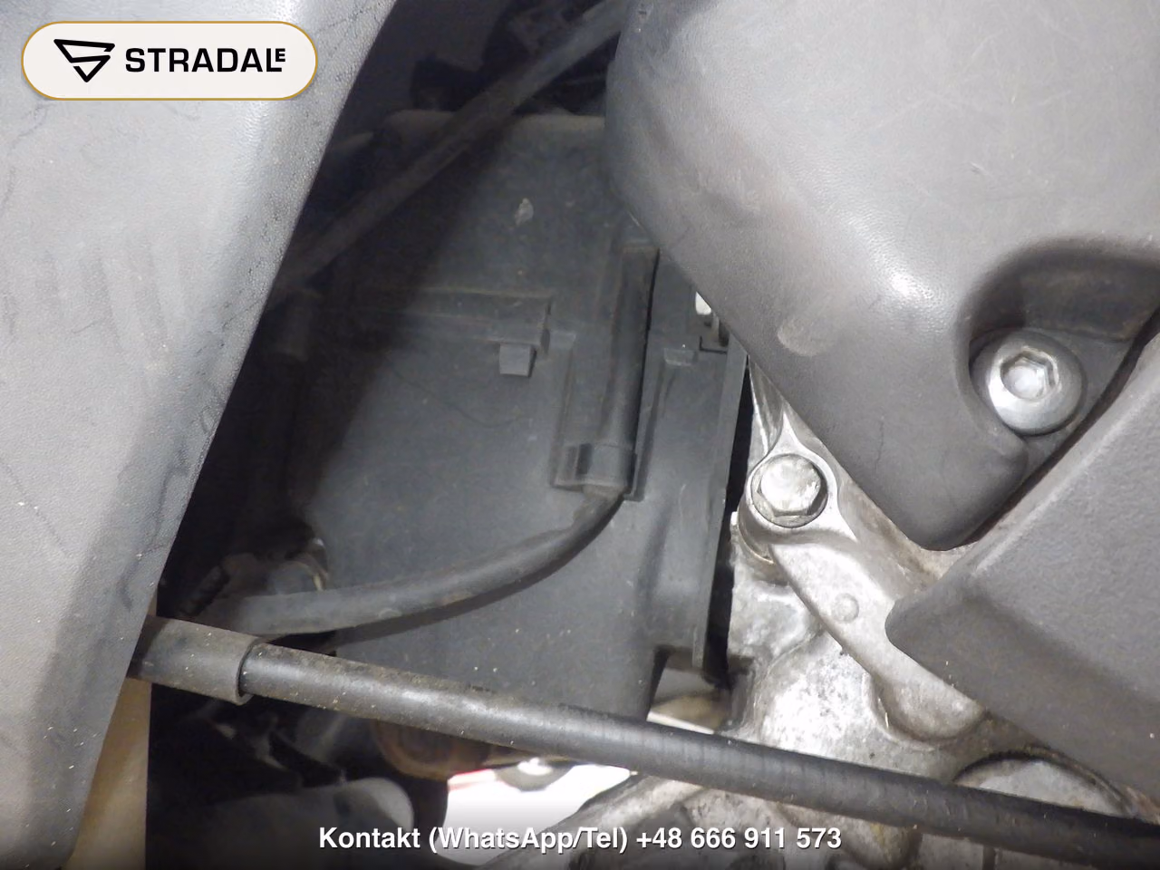 HONDA DIO110, miniaturka 4