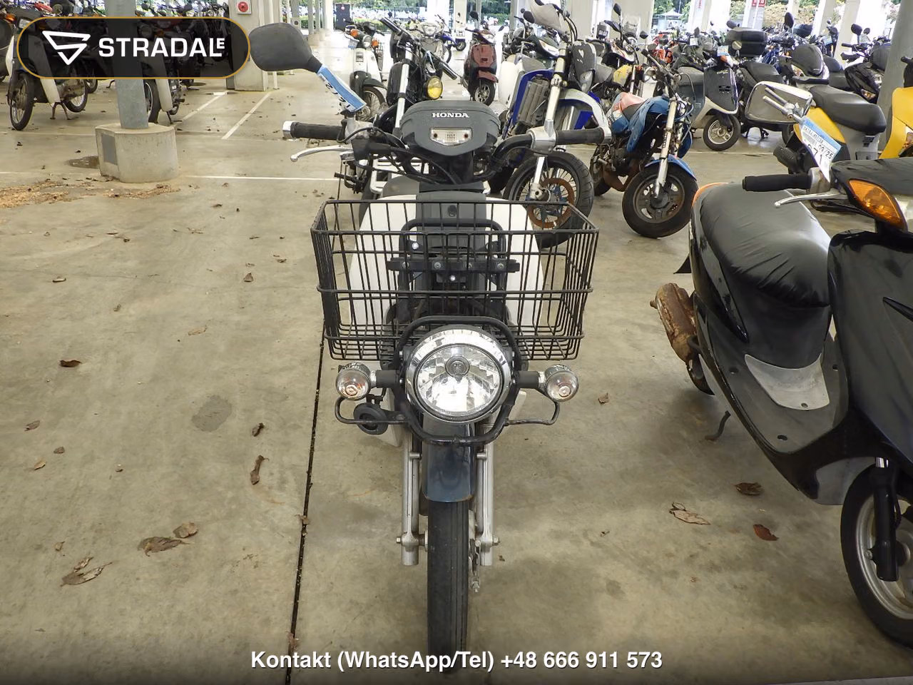 HONDA C50-2, miniaturka 6