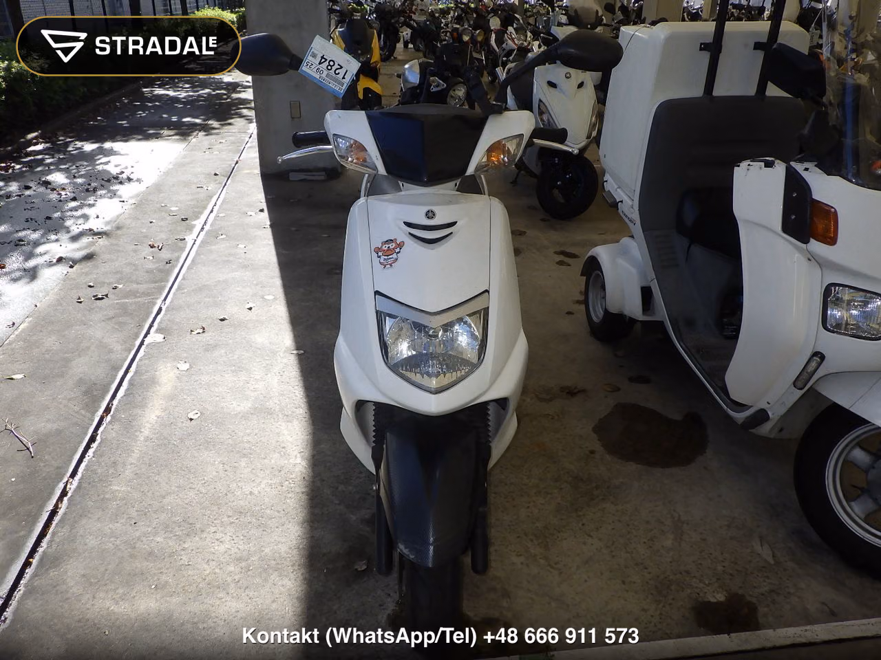 YAMAHA ｼｸﾞﾅｽ125X, miniaturka 6