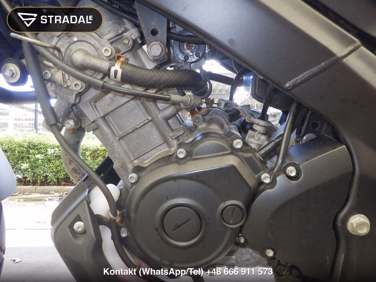 YAMAHA XSR155, miniaturka 3