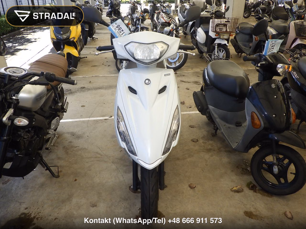 YAMAHA AXIS125Z, miniaturka 6