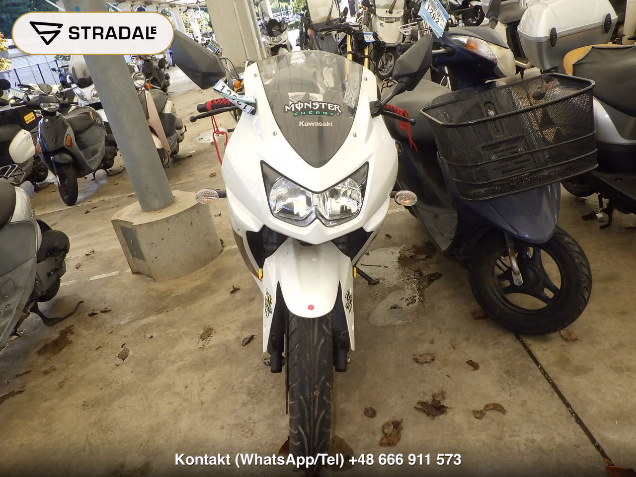 KAWASAKI NINJA250R, miniaturka 6