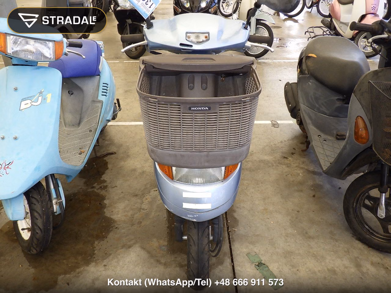 HONDA DIOﾁｪｽﾀ-2, miniaturka 6