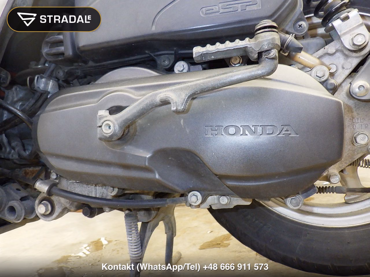 HONDA ﾀｸﾄ-4ﾍﾞｰｼｯｸ, miniaturka 2