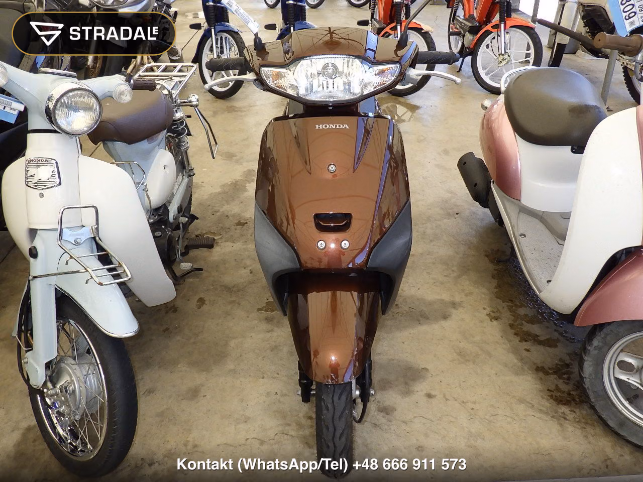 HONDA ﾀｸﾄ-4ﾍﾞｰｼｯｸ, miniaturka 6