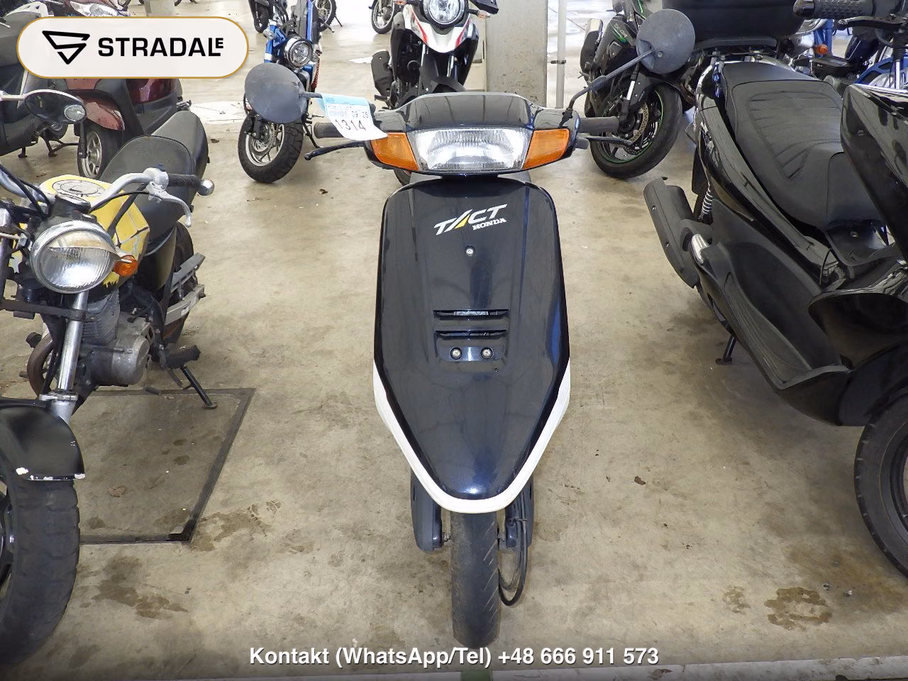 HONDA ﾀｸﾄ-1, miniaturka 6