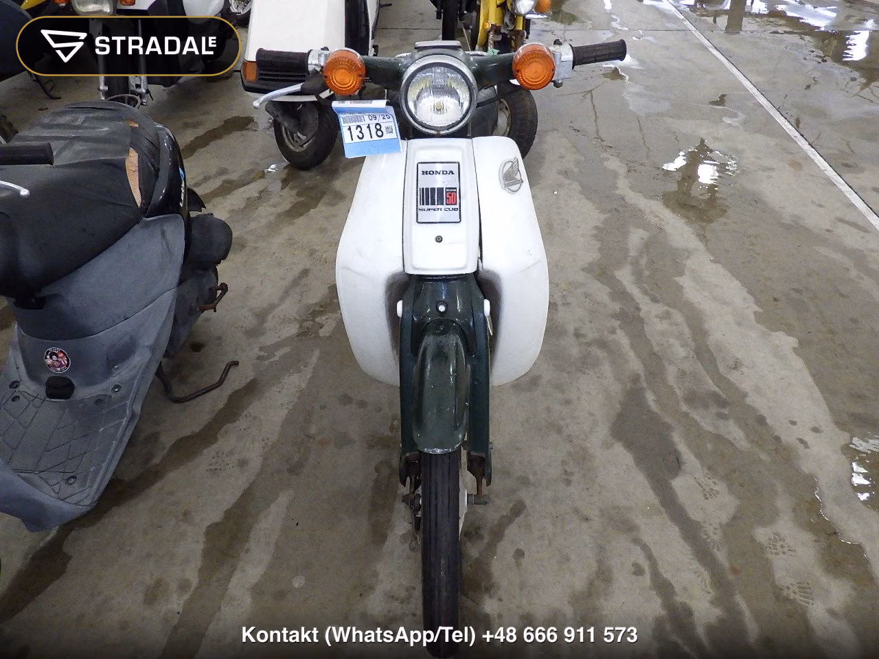 HONDA C50, miniaturka 6