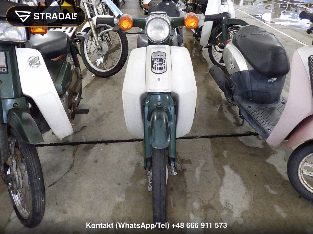 HONDA C50, miniaturka 6
