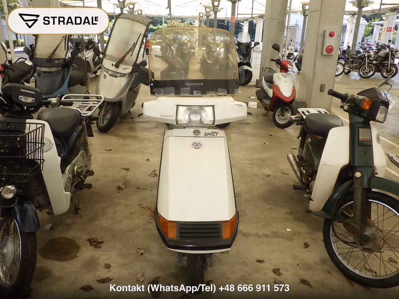HONDA ｽﾍﾟｲｼｰ50, miniaturka 6