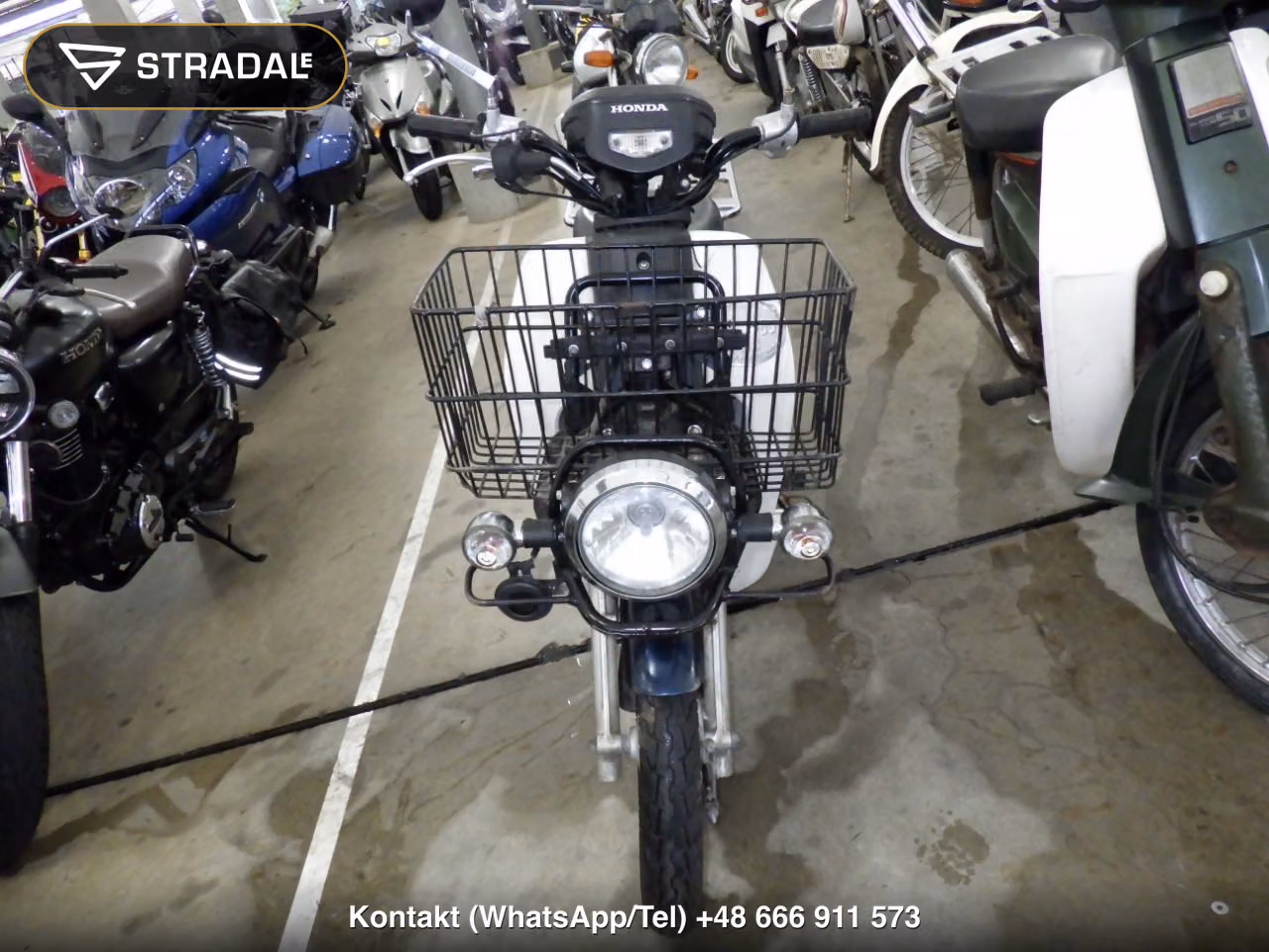 HONDA C50-2, miniaturka 6