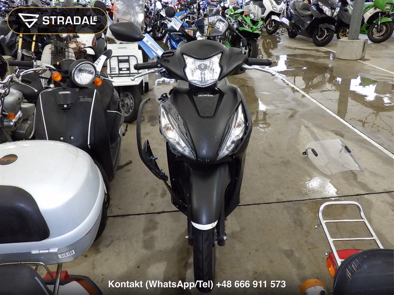 HONDA DIO110-3ﾍﾞｰｼｯｸ, miniaturka 6