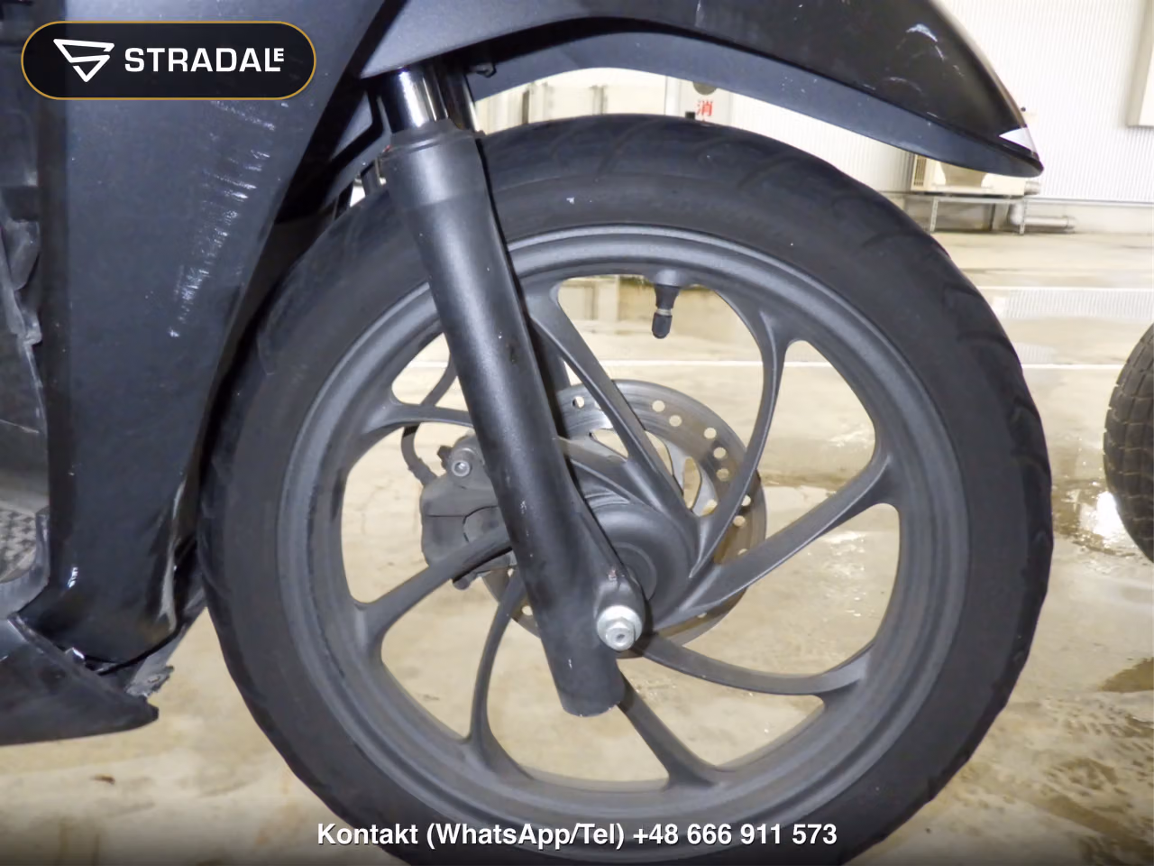 HONDA DIO110-3ﾍﾞｰｼｯｸ, miniaturka 7