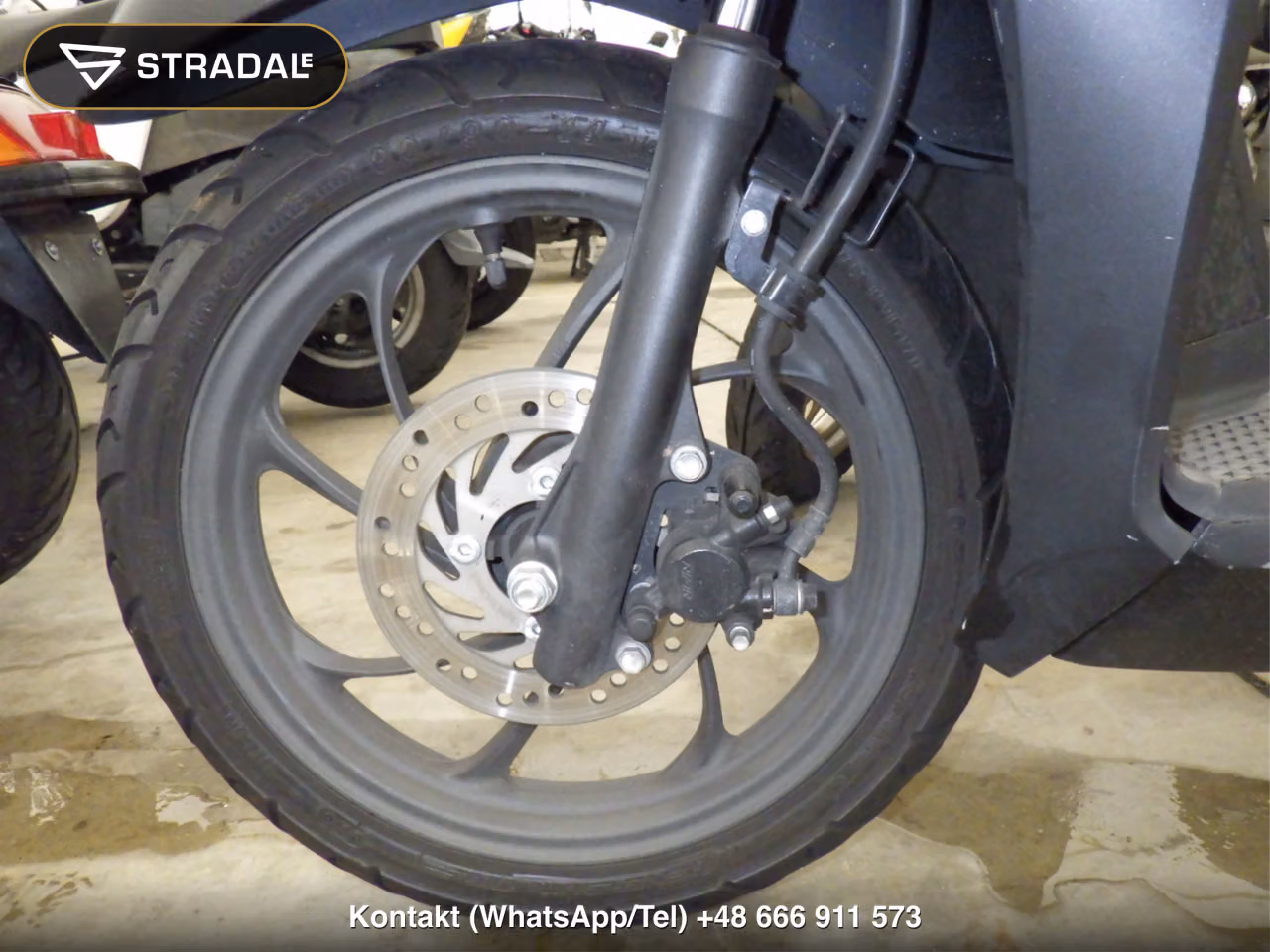 HONDA DIO110-3ﾍﾞｰｼｯｸ, miniaturka 8