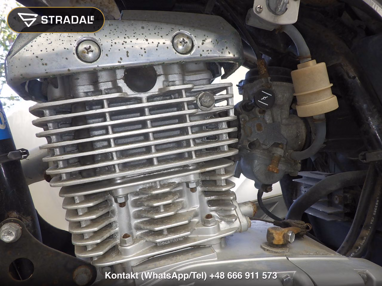 SUZUKI EN125-2A, miniaturka 3