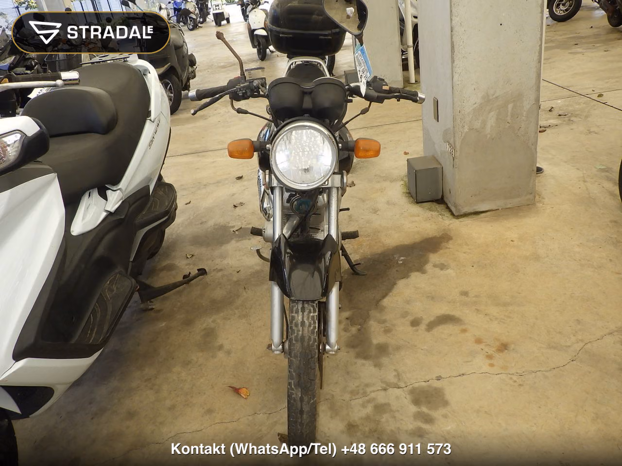 SUZUKI EN125-2A, miniaturka 6
