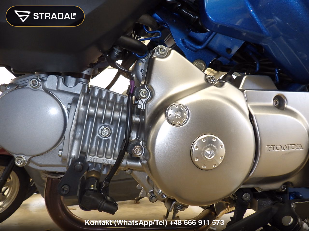 HONDA ﾓﾝｷｰ125, miniaturka 4