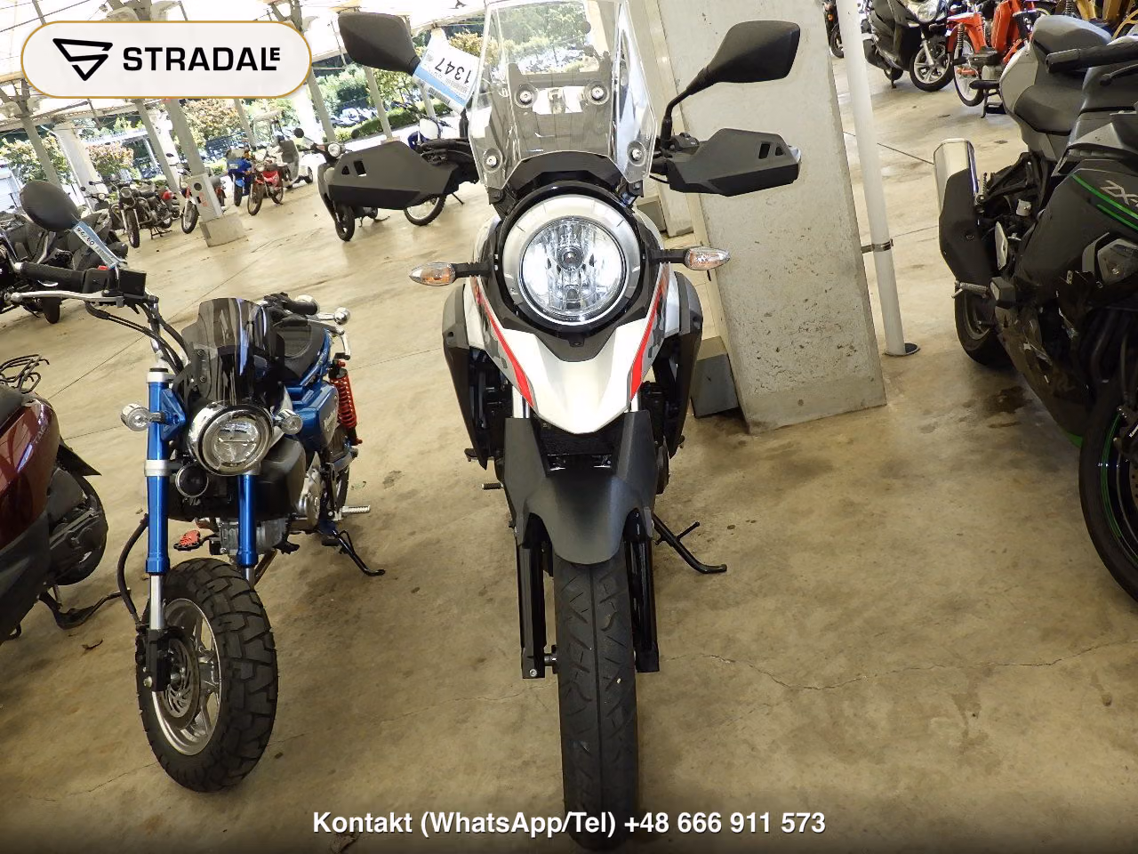 SUZUKI Vｽﾄﾛｰﾑ250A, miniaturka 6