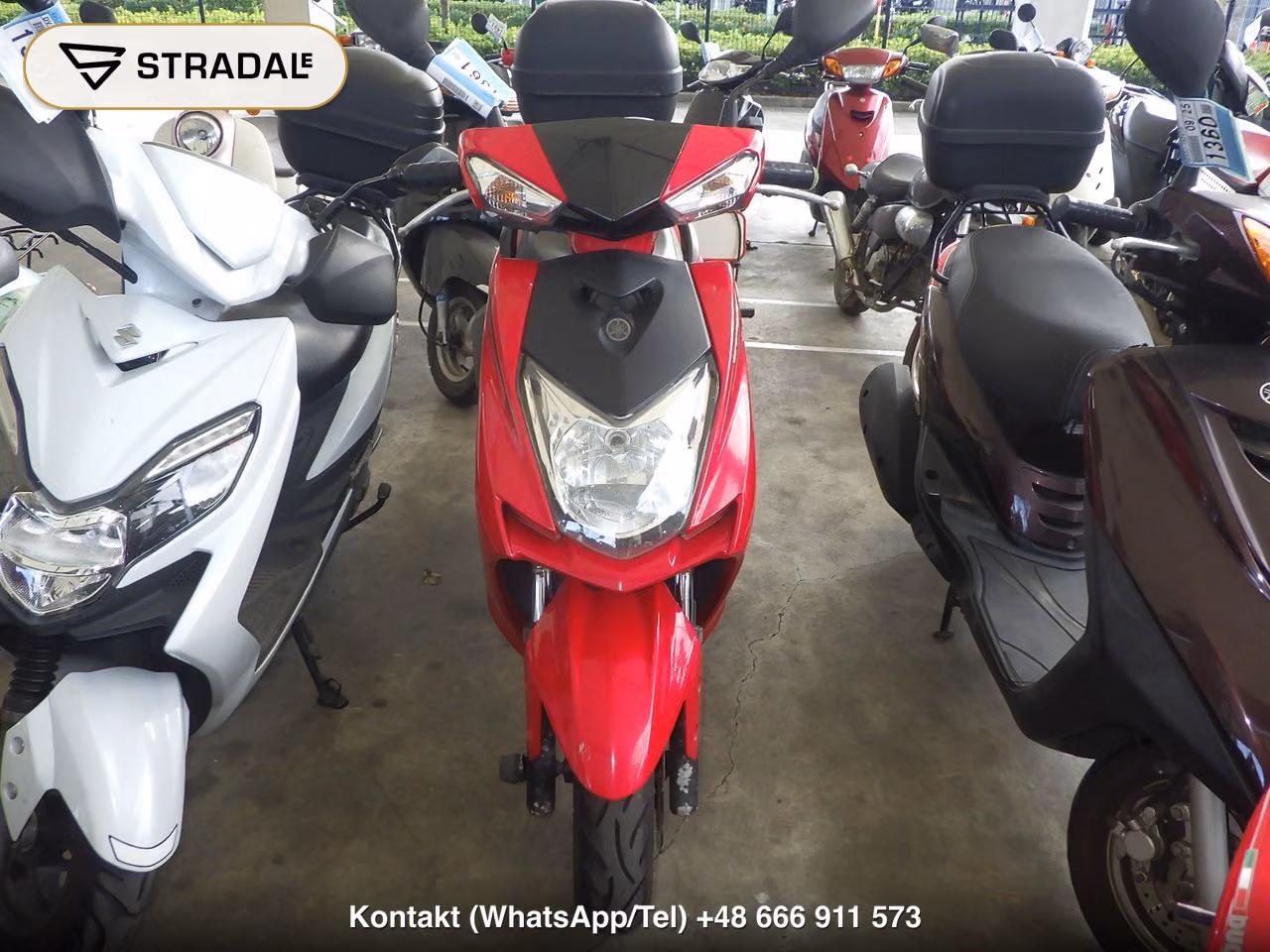 YAMAHA ｼｸﾞﾅｽ125XSR-3, miniaturka 6