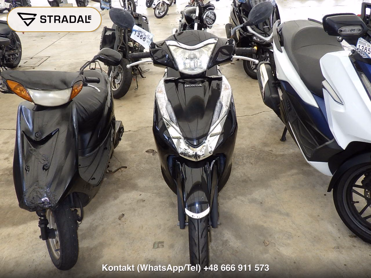 HONDA LEAD125, miniaturka 6
