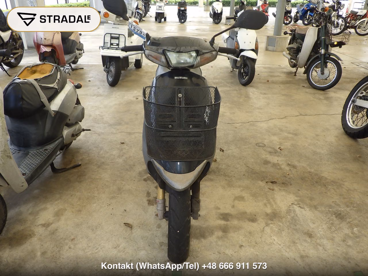 SUZUKI ZZ, miniaturka 6