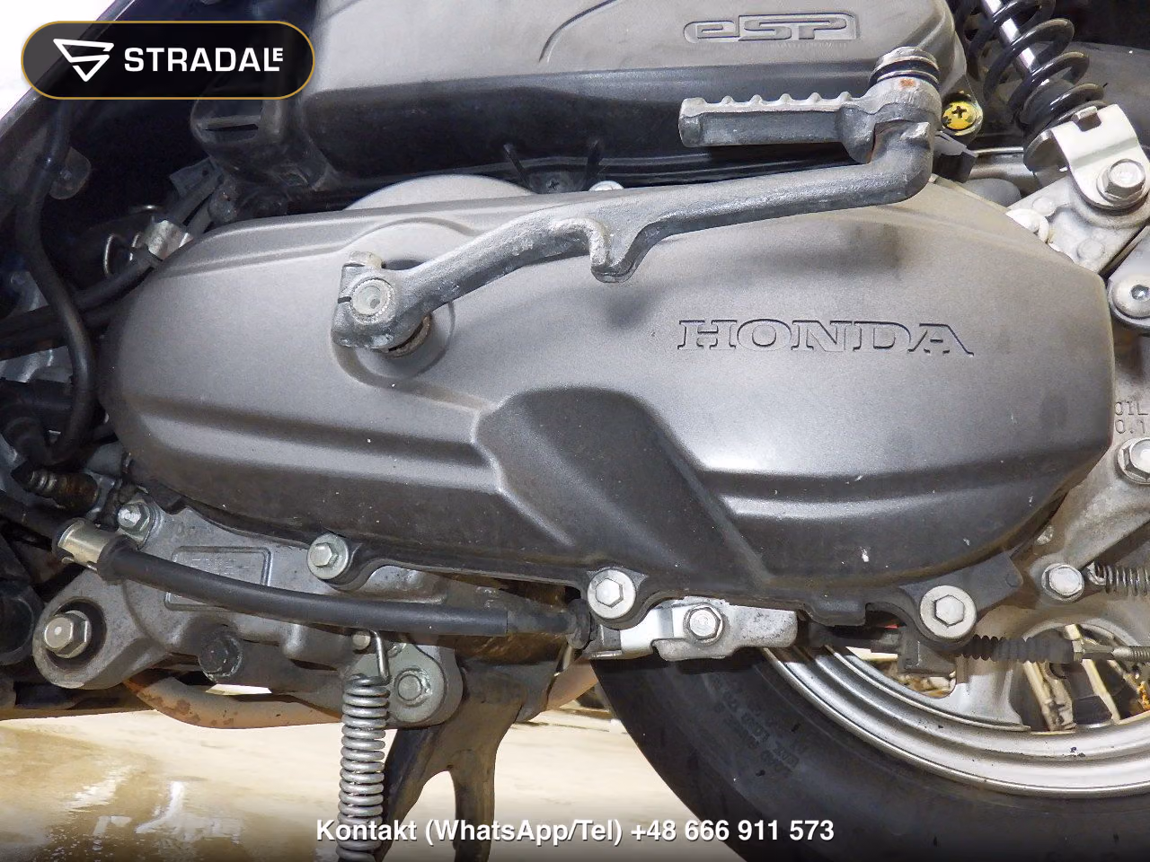 HONDA ﾀｸﾄ-4ﾍﾞｰｼｯｸ, miniaturka 4
