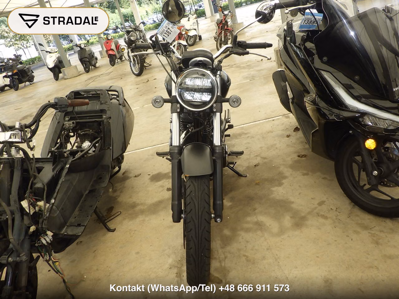 HONDA GB350, miniaturka 6