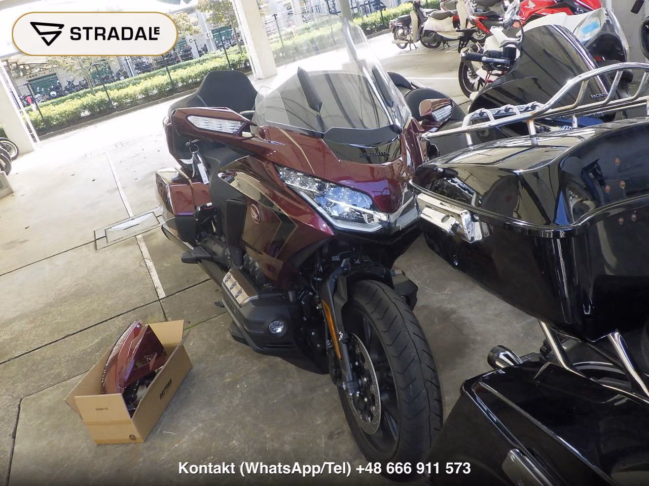 HONDA GL1800ﾂｱｰD, miniaturka 6
