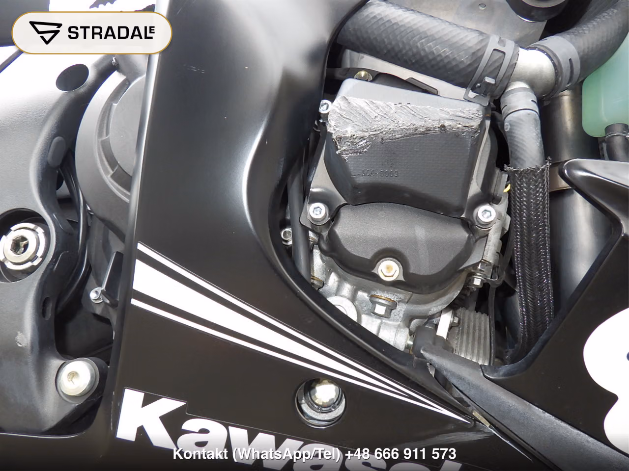 KAWASAKI ZX1000Z, miniaturka 2
