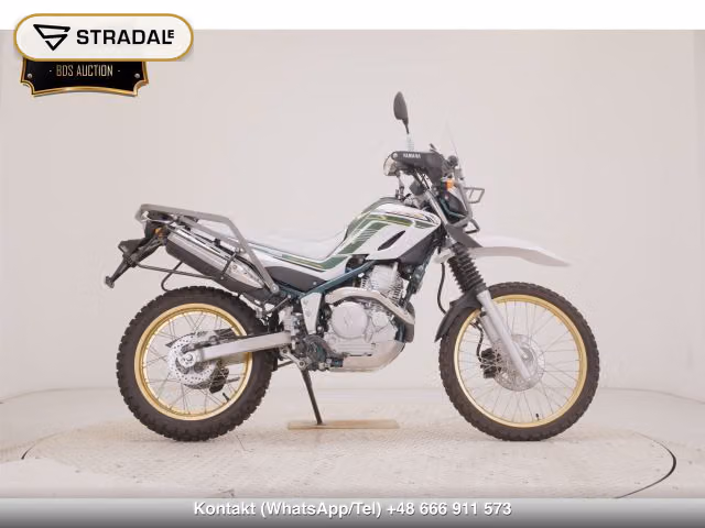YAMAHA ｾﾛｰ250-3, aukcja z Japonii, zdjęcie 1
