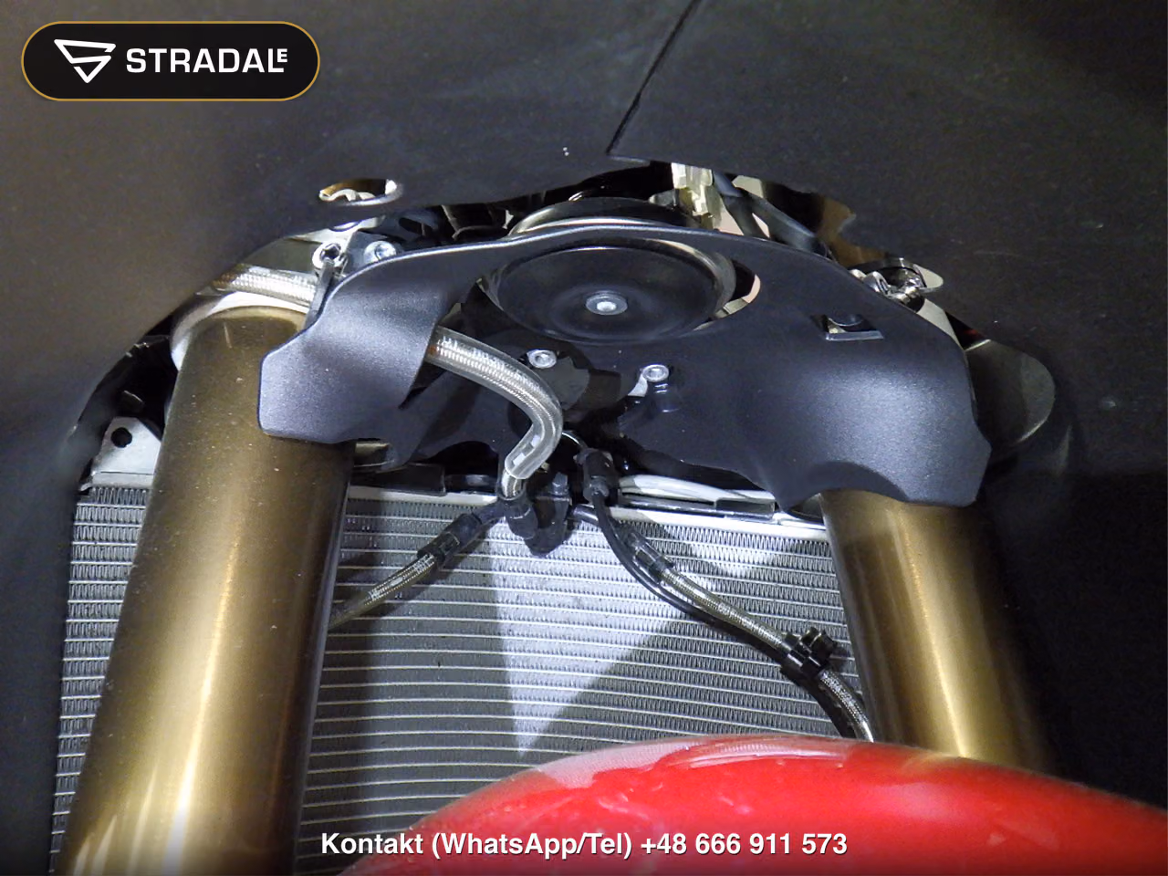 YAMAHA YZF-R9, miniaturka 8