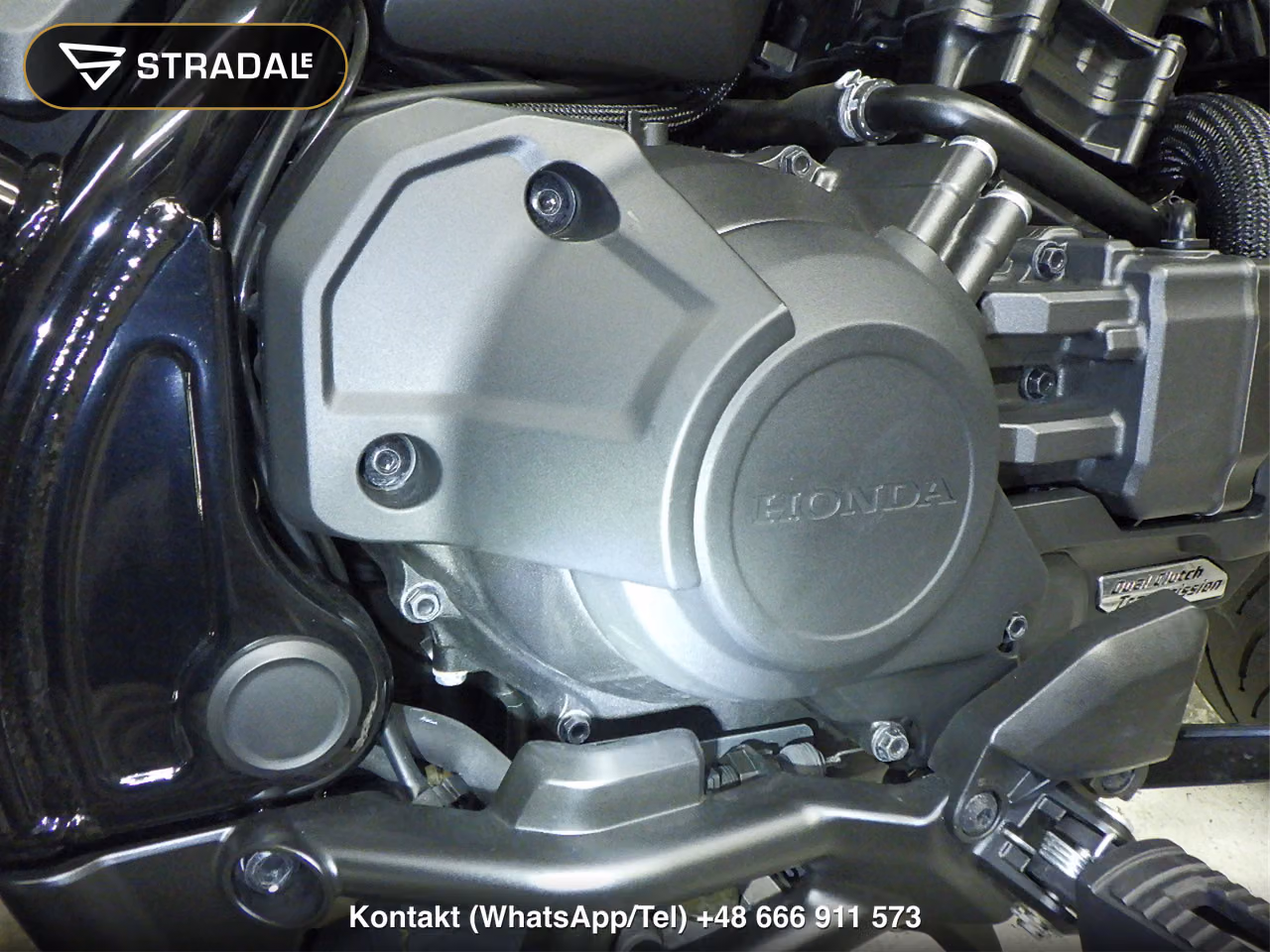 HONDA ﾚﾌﾞﾙ1100D, miniaturka 2