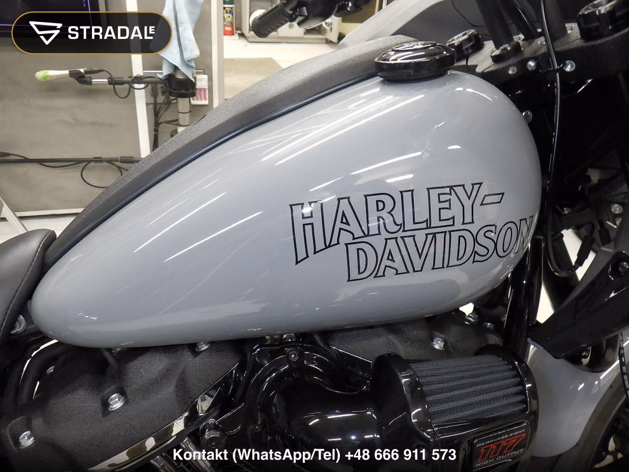 HARLEY-DAVIDSON FXLRST1920, miniaturka 11