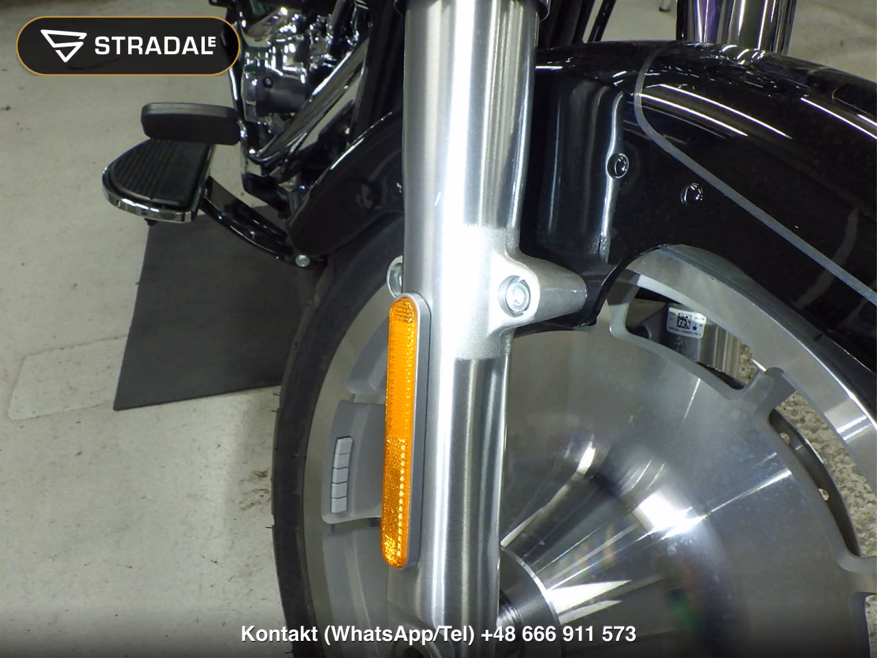 HARLEY-DAVIDSON FLFB1920, miniaturka 9