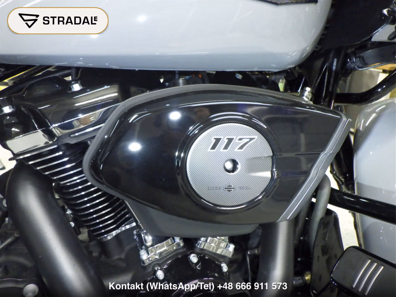 HARLEY-DAVIDSON FLTRX1920, miniaturka 4