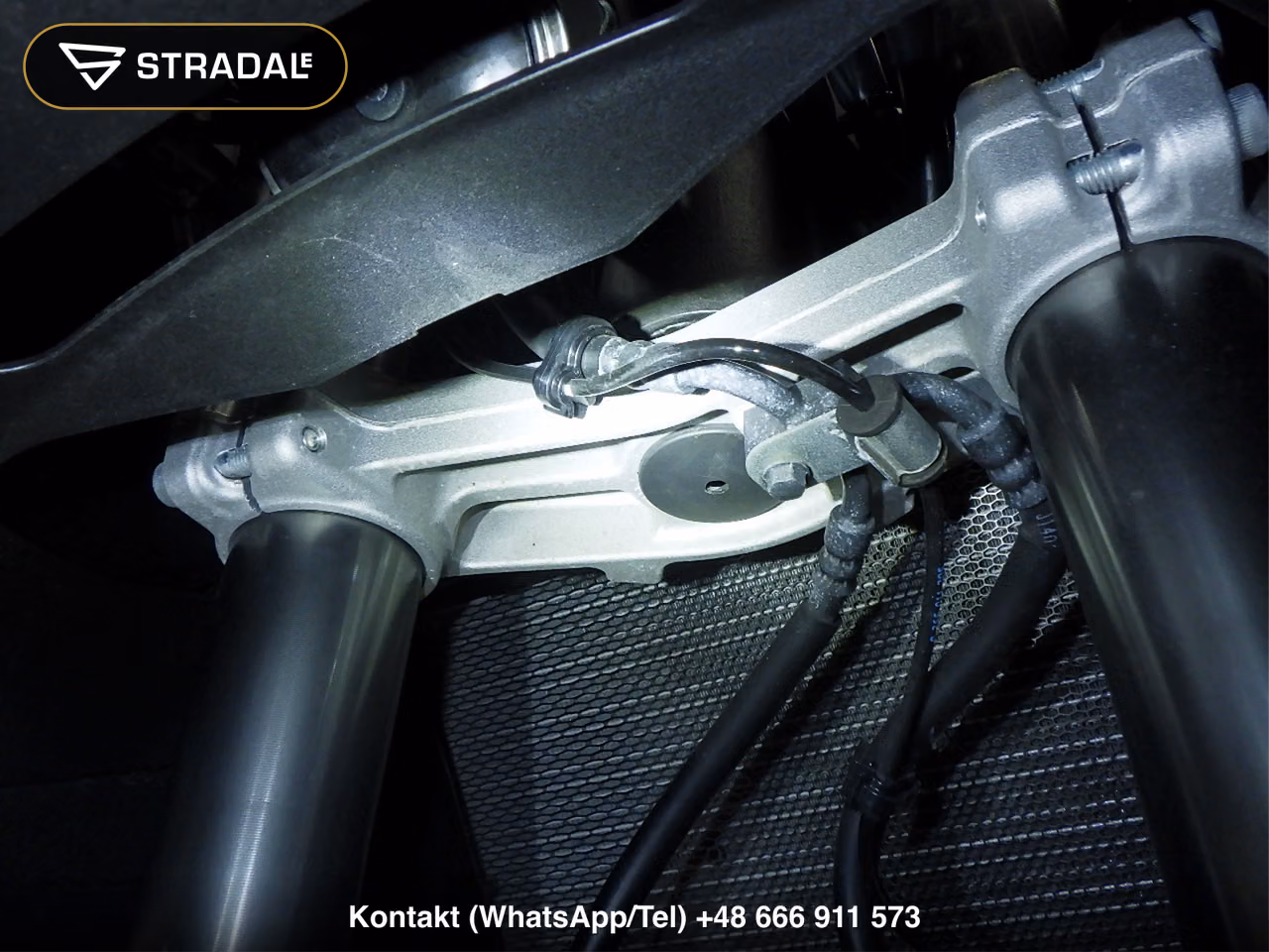 KAWASAKI NINJA1000SX, miniaturka 9