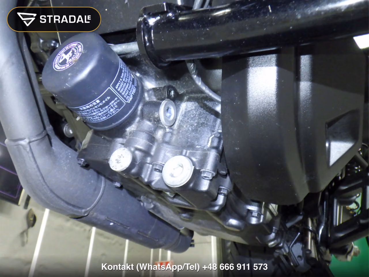 HONDA ﾚﾌﾞﾙ1100D, miniaturka 3