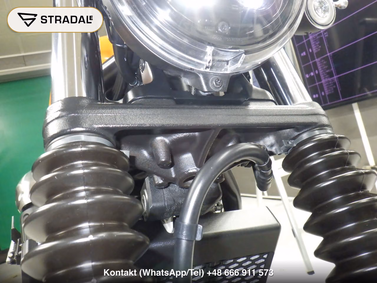 HONDA CL250-2, miniaturka 3